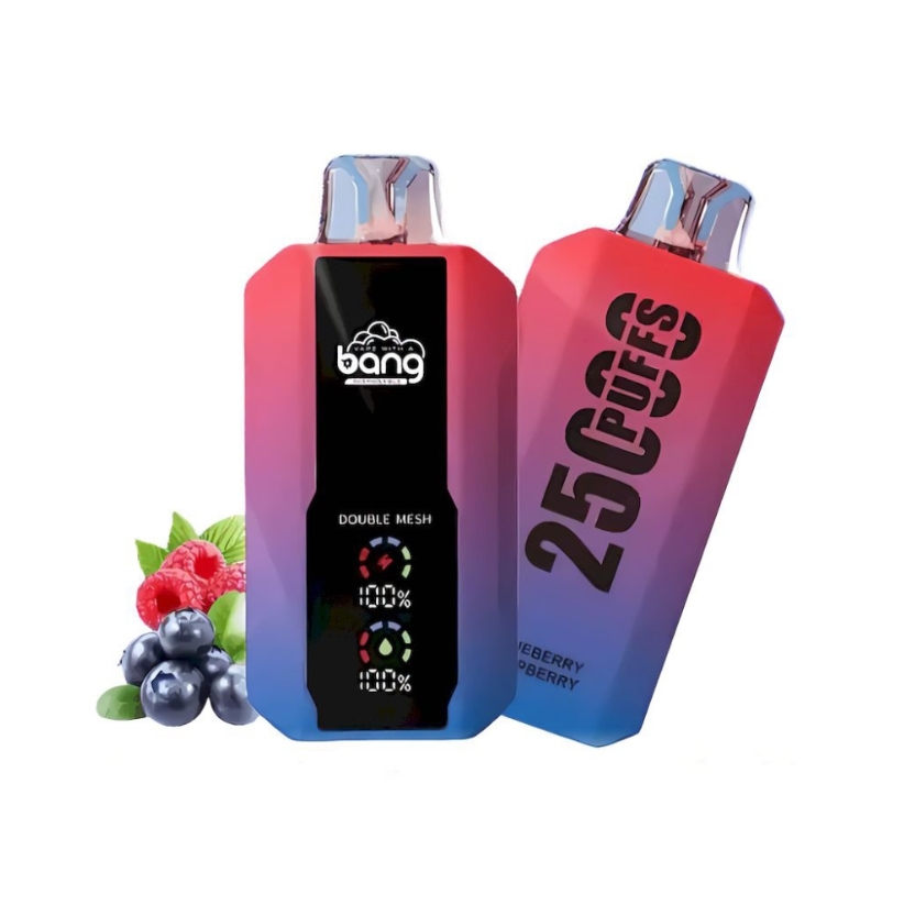 Analyse complète du Bang 25000 : un dispositif de vape jetable haut de gamme