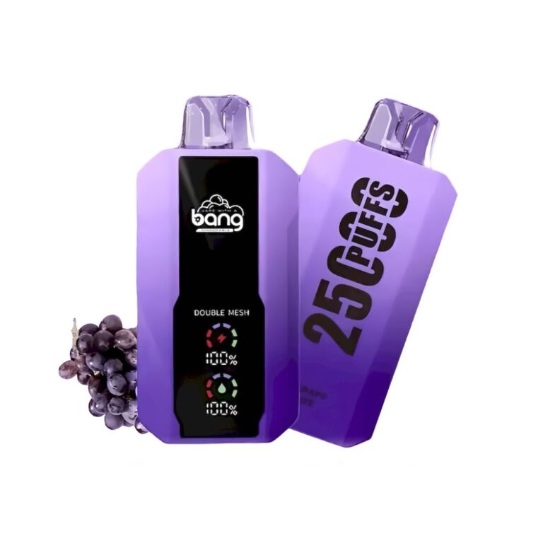 Bang 25000 : une vape jetable haut de gamme pour une expérience prolongée et personnalisée