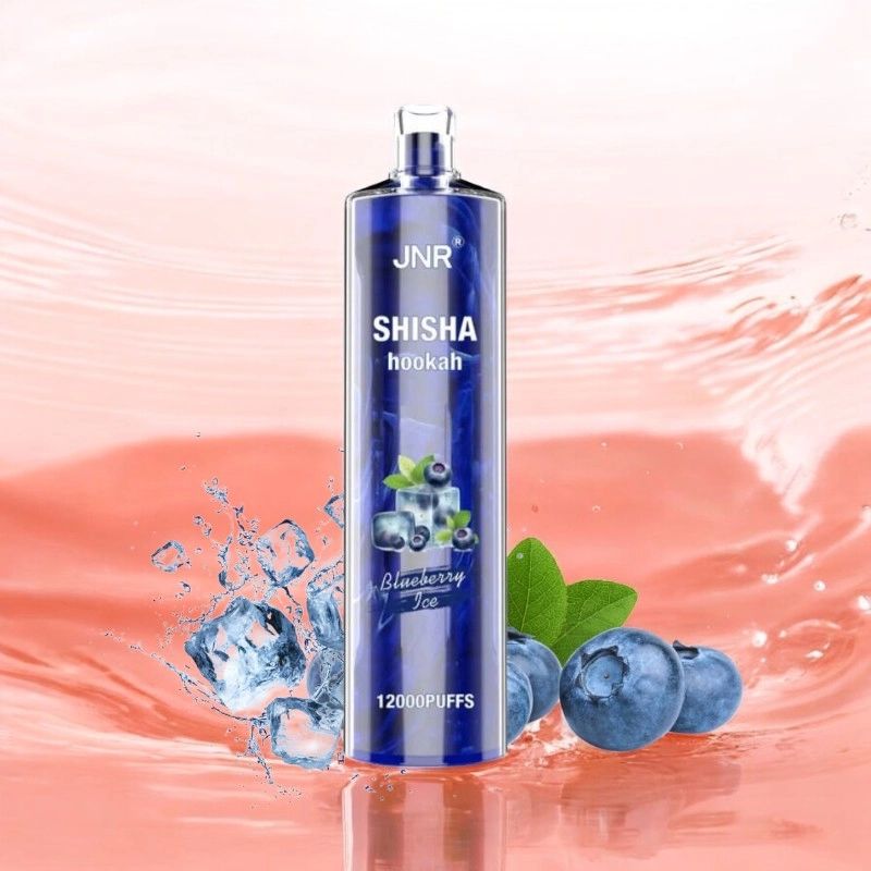 Revue détaillée du JNR Shisha 12000 : Design, performance et expérience gustative